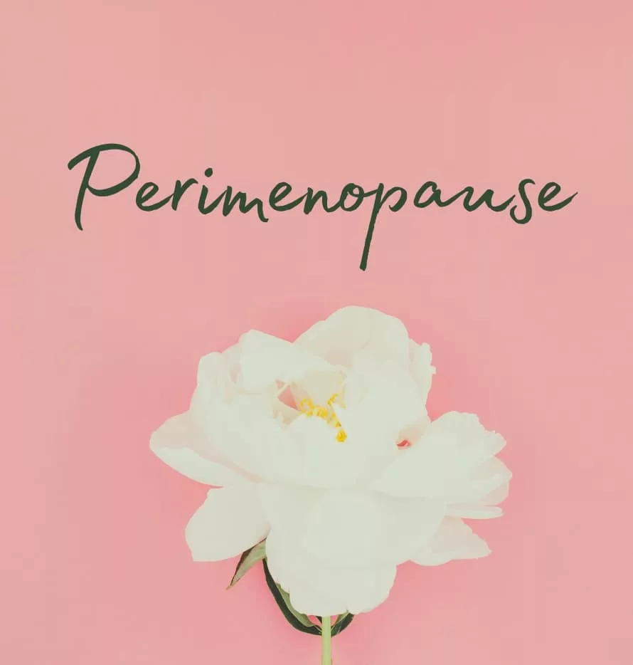 Weiße Blume auf rosafarbenem Hintergrund mit Schriftzug Perimenopause