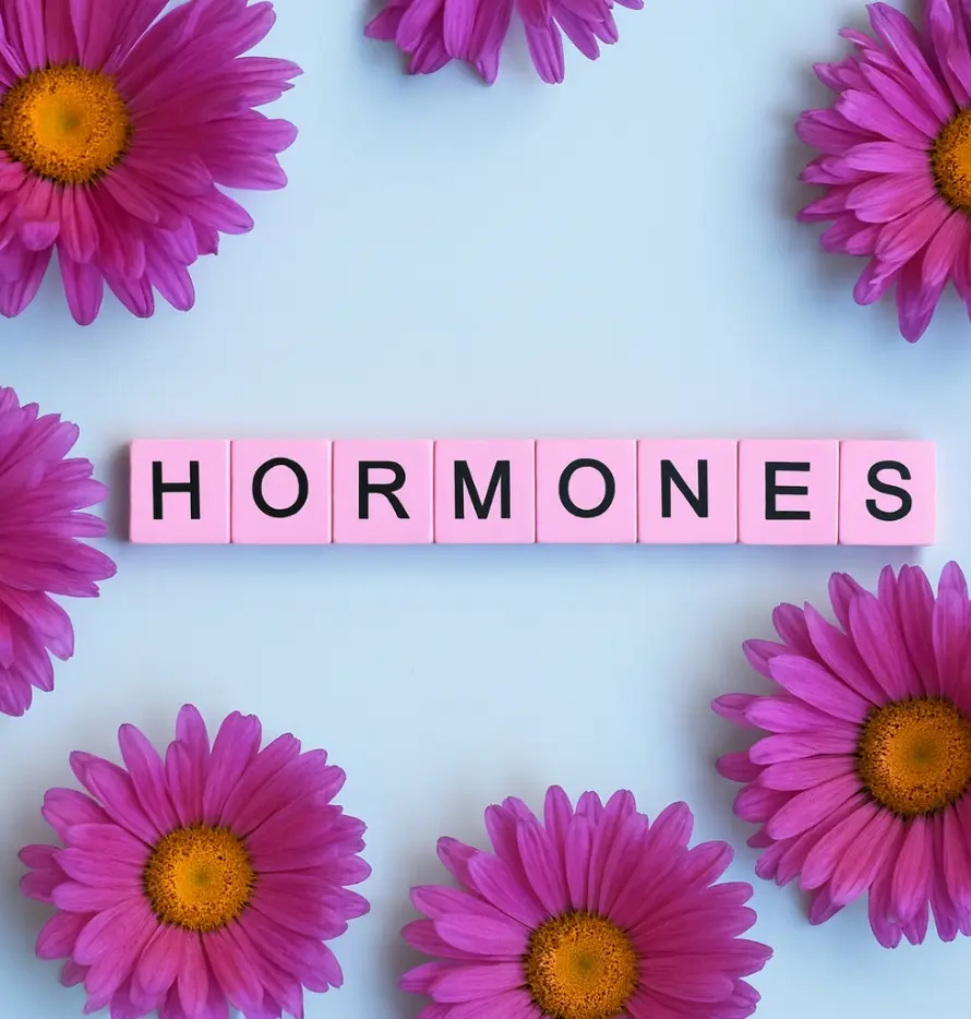 Bild mit Blumen und der Aufschrift Hormone